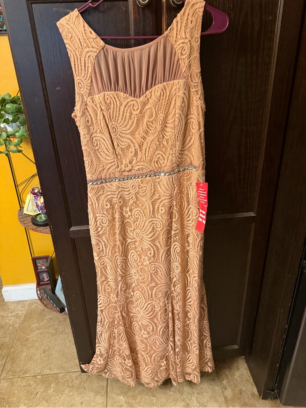 Sleeveless Lace Evening Gown in Blush Nude